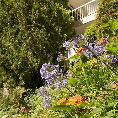 Lejlighed Wehost - Bel Avec Vue Sur La : Piscines Cannes